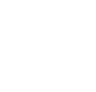 Nellis Auction